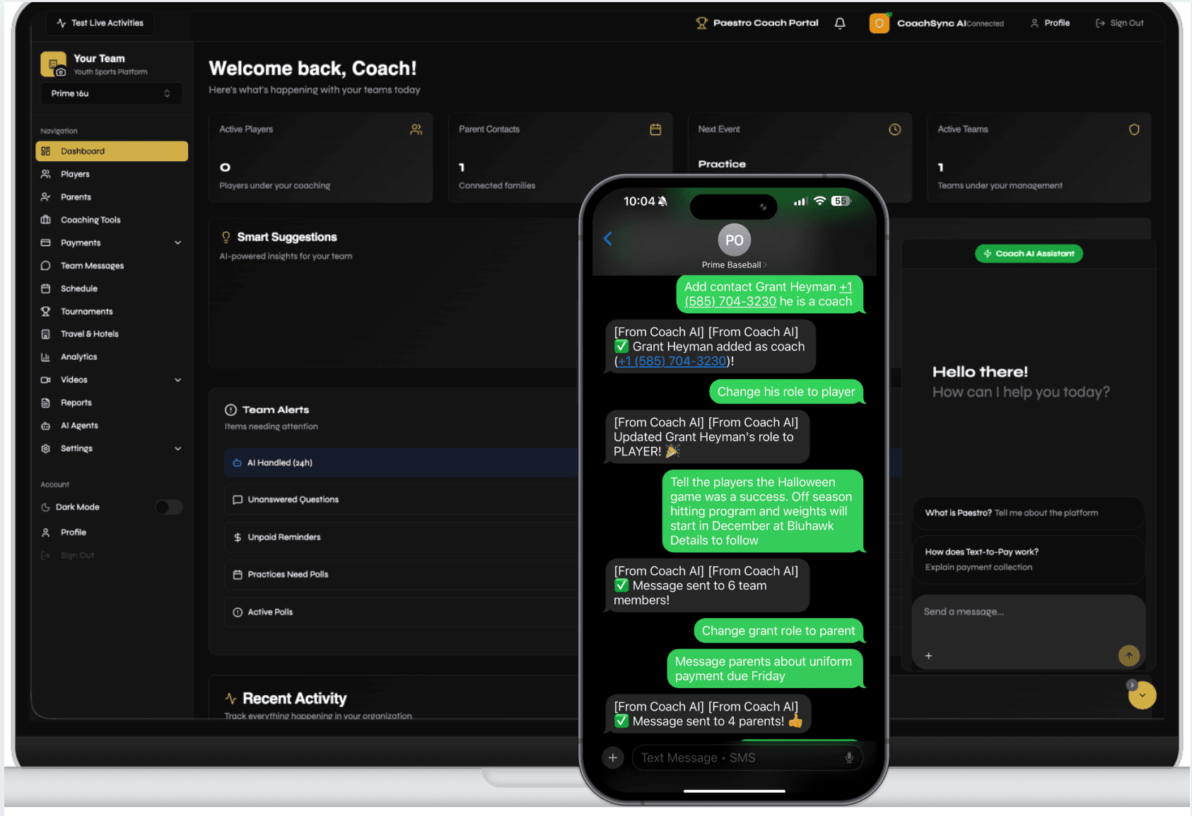 Paestro Coach Dashboard Preview